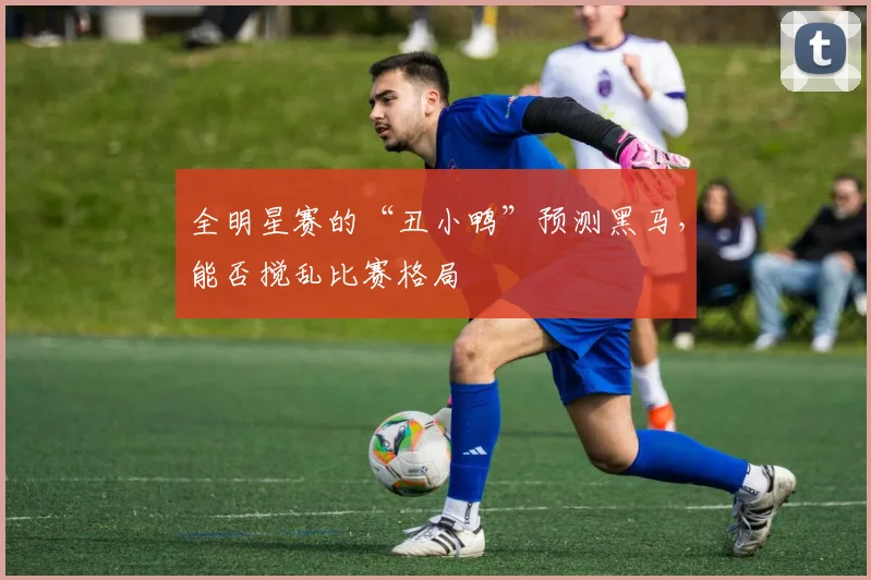 全明星赛的“丑小鸭”预测黑马，能否搅乱比赛格局